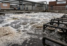 Rola nowoczesnych technologii cyfrowych w monitorowaniu i optymalizacji zagospodarowania odpadów przemysłowych forestodpady.pl - zagospodarowanie odpadów przemysłowych - Michalina.jpg