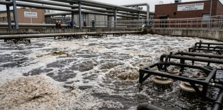 Rola nowoczesnych technologii cyfrowych w monitorowaniu i optymalizacji zagospodarowania odpadów przemysłowych forestodpady.pl - zagospodarowanie odpadów przemysłowych - Michalina.jpg