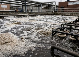 forestodpady.pl - zagospodarowanie odpadów przemysłowych - Michalina.jpg